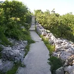 Jadranka Povile *