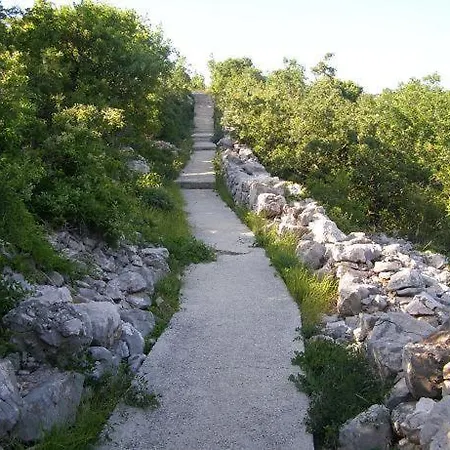 Jadranka Povile